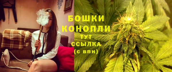 прущая мука Богданович