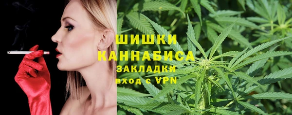 прущая мука Богданович